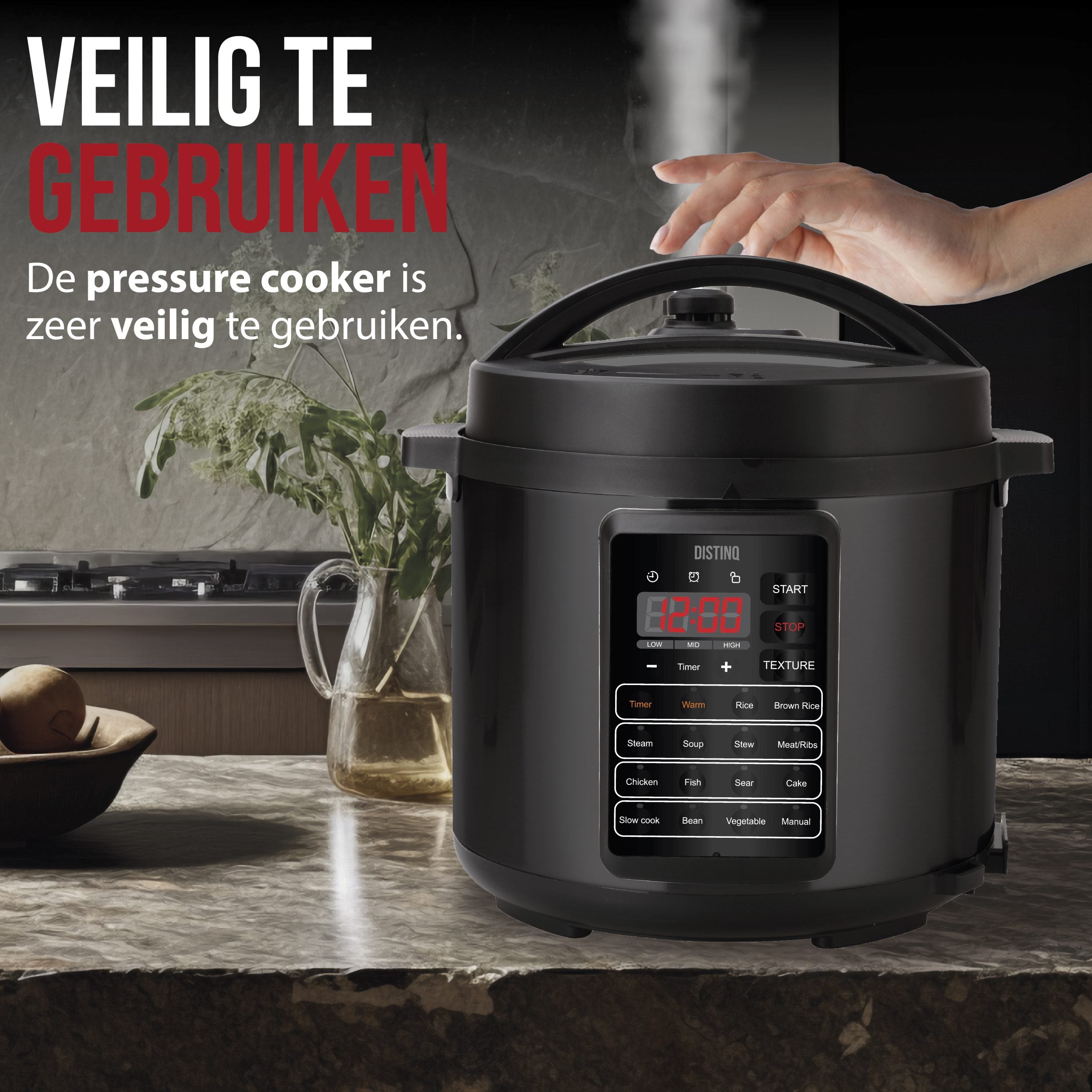 DistinQ multicooker 4