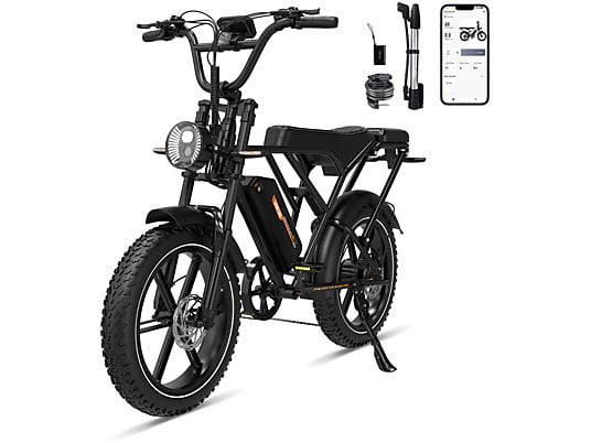 RCB 20" G19 E-bike, 48 V/20,8 Ah, MAX 90 km, 250 W, voor stad- en bergritten, 120 kg, APP/NFC Zwart